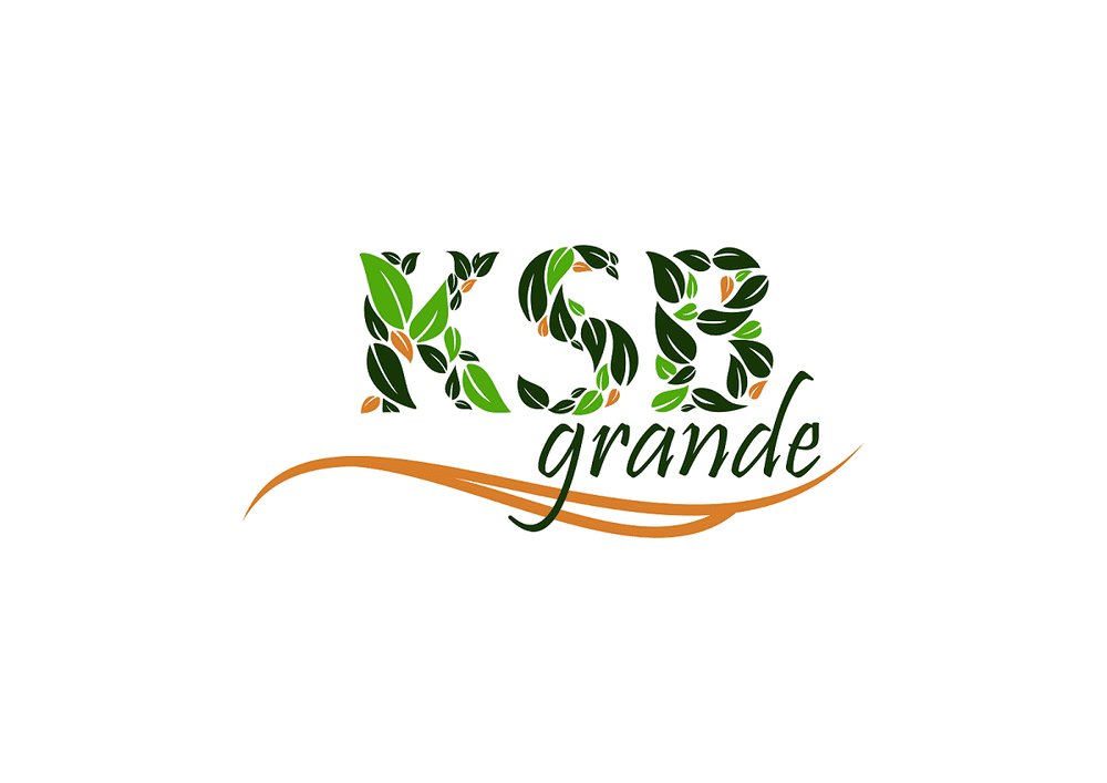 Logo-KSB-Grande